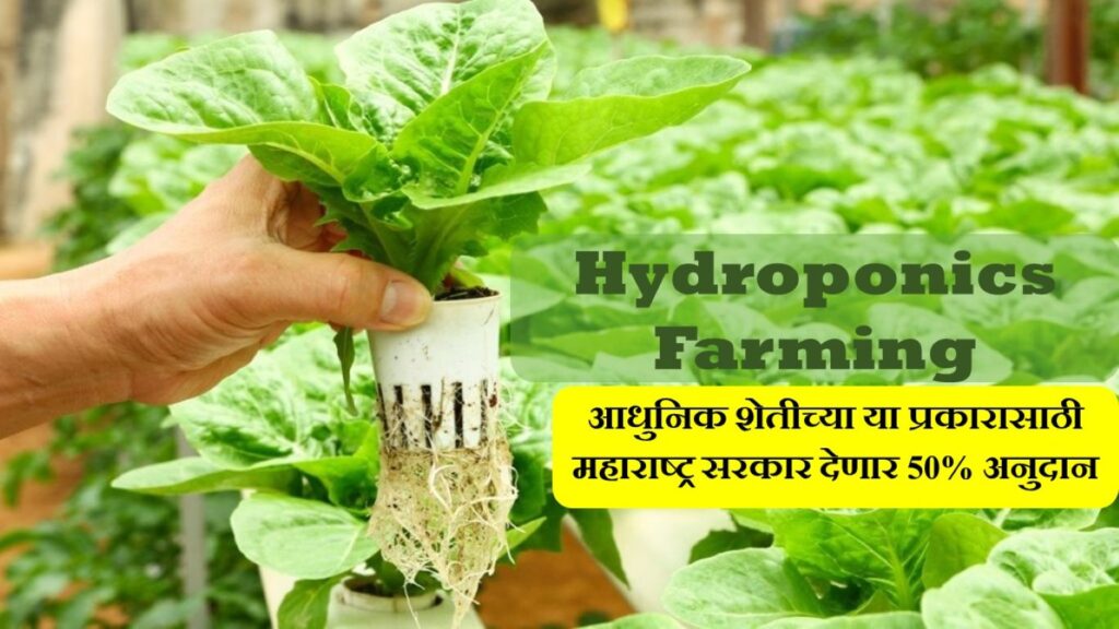 Hydroponic Farming